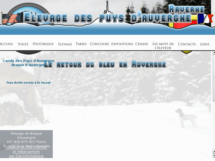 www.elevagebraquedauvergne.com