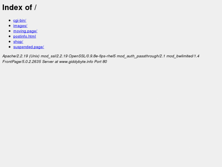 www.giddybyte.info
