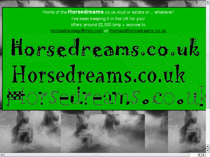 www.horsedreams.co.uk