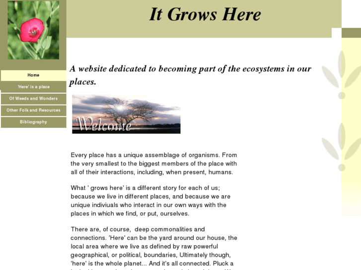 www.itgrowshere.org