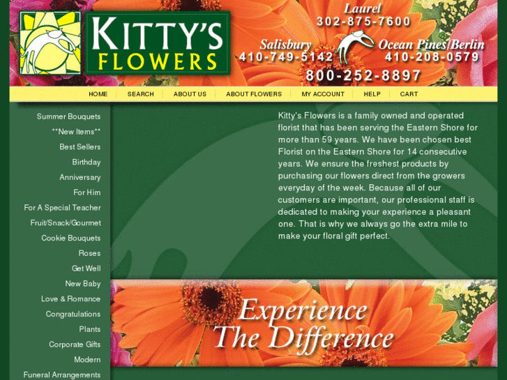 www.kittysdirect.com