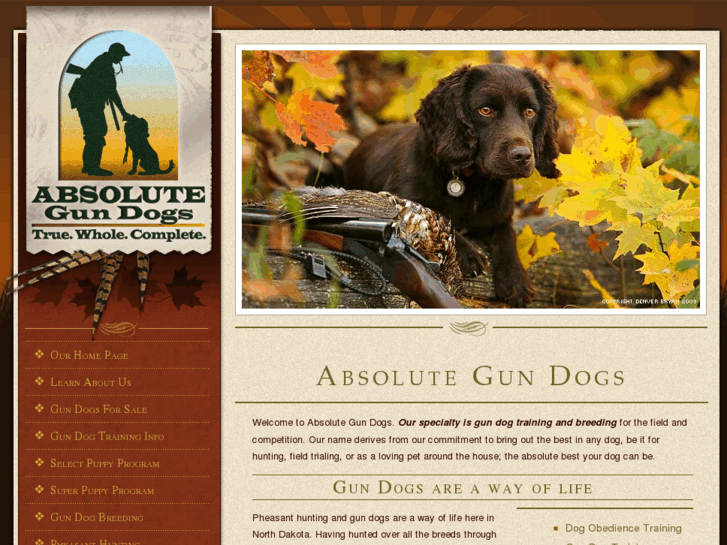 www.absolutegundogs.com