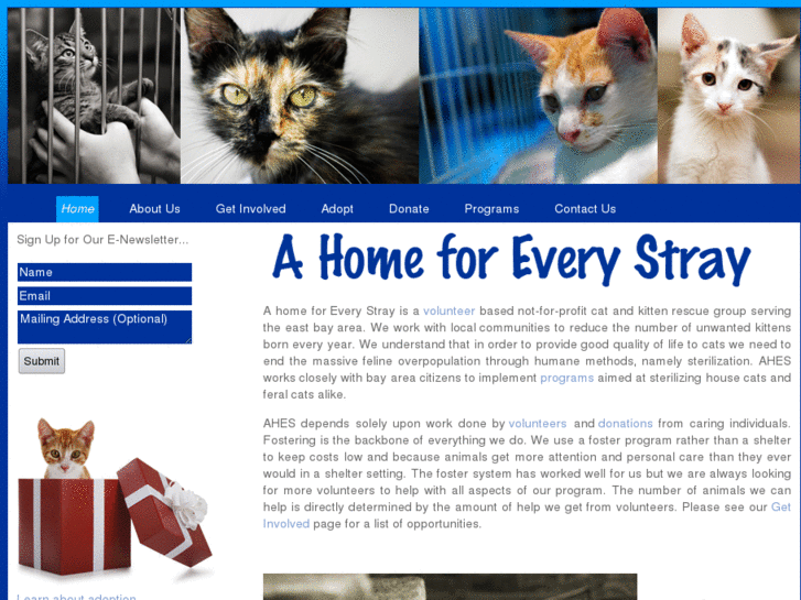 www.ahomeforeverystray.org