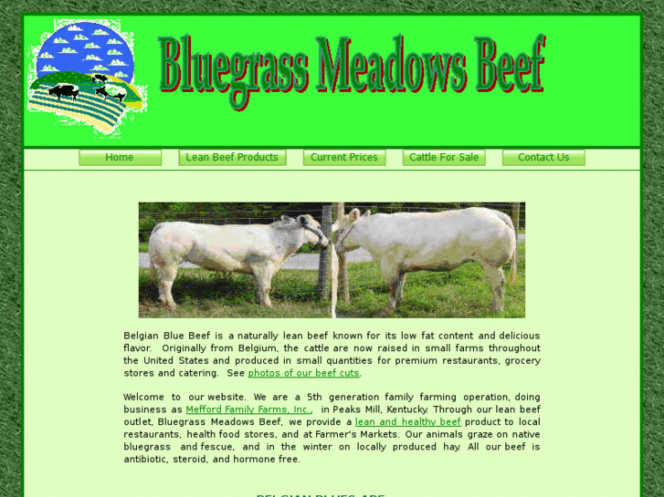 www.bluegrassmeadowsbeef.com