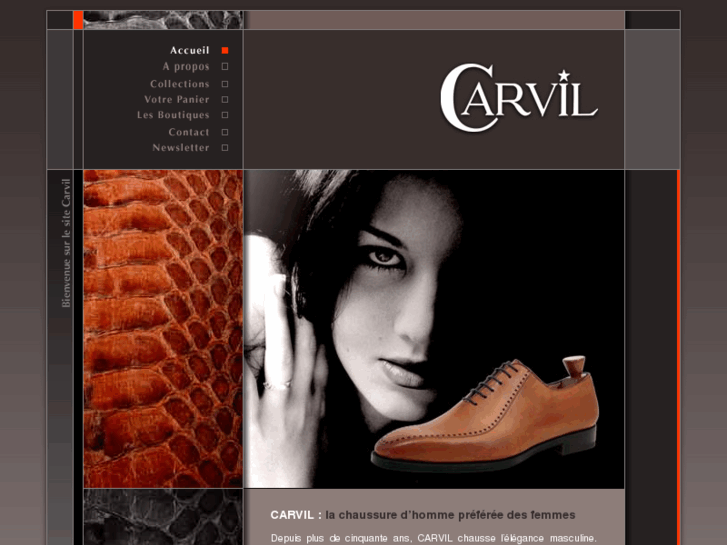 www.carvil.com