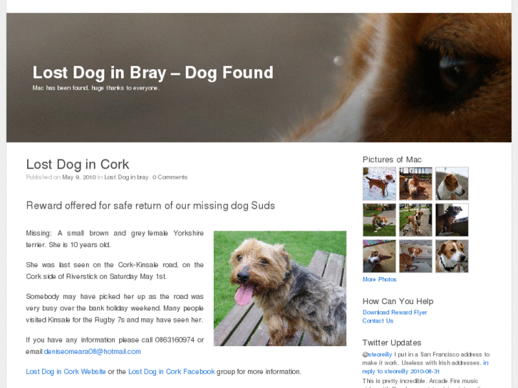 www.lost-dog-in-bray.com