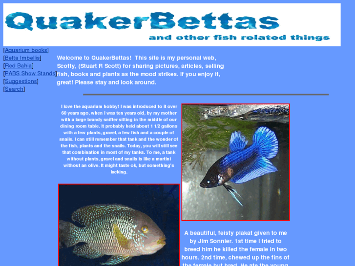 www.quakerbettas.com