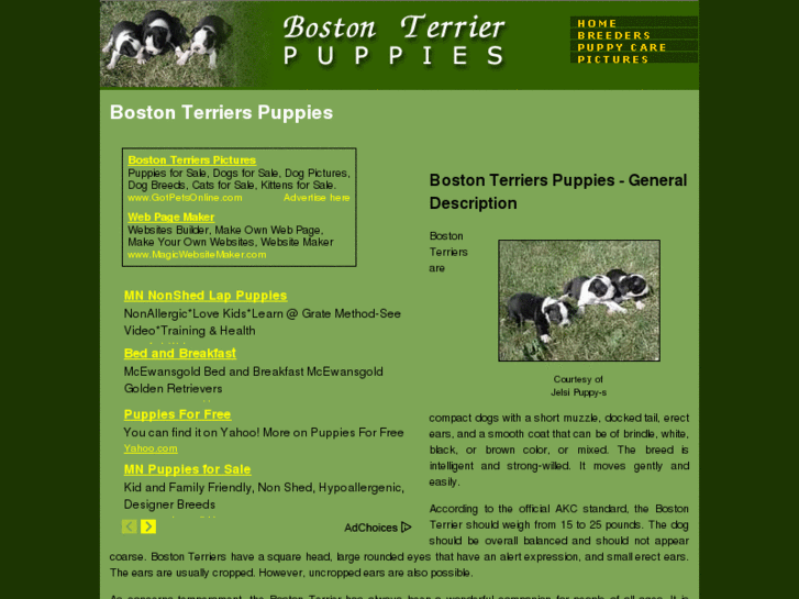 www.boston-terriers-puppies.com