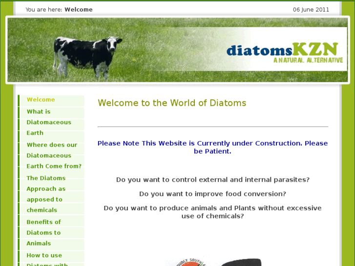 www.diatomskzn.com