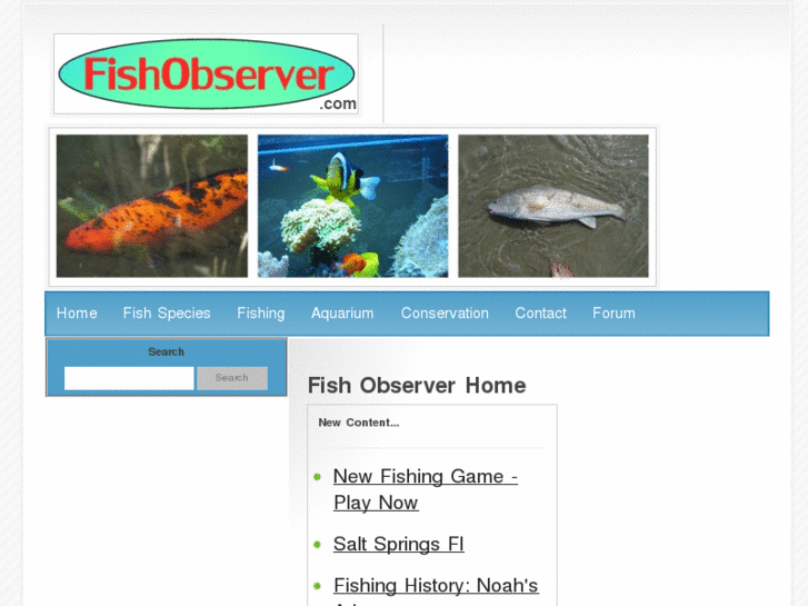 www.fishobserver.com