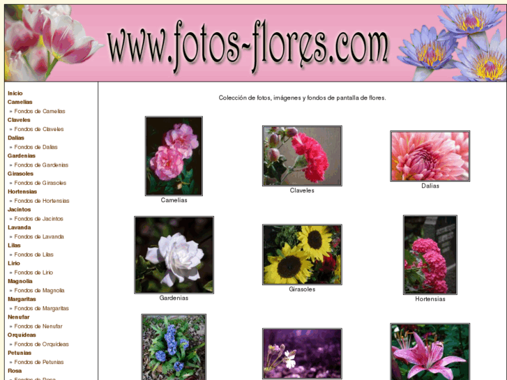 www.fotos-flores.com