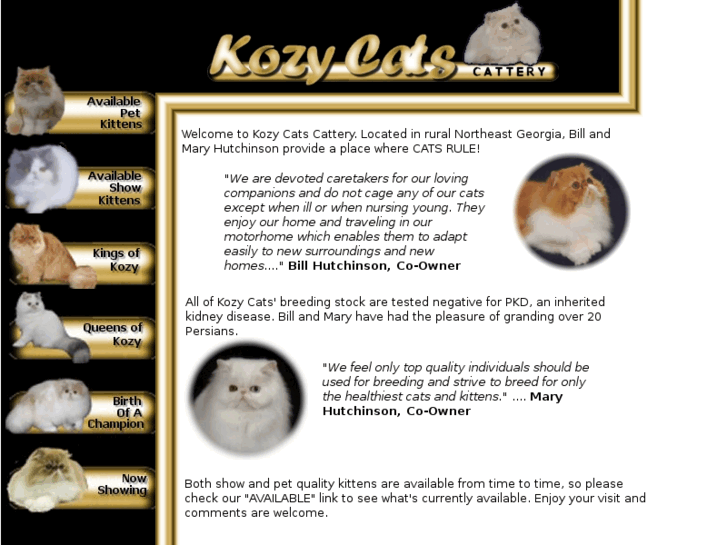 www.kozy-cats.com