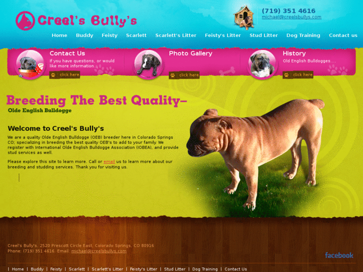 www.creelsbullys.com