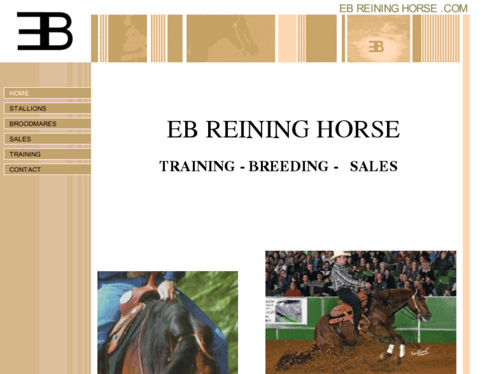 www.ebreininghorse.com