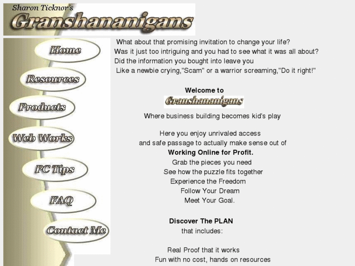 www.granshananigans.com