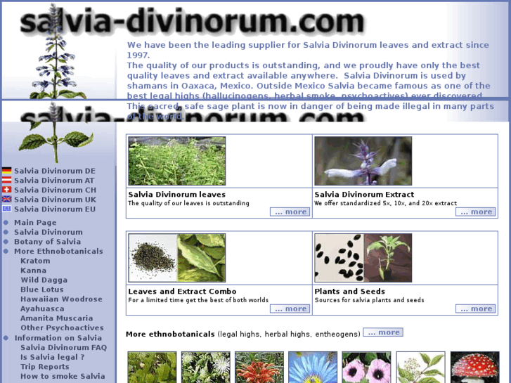 www.salvia-divinorum.com