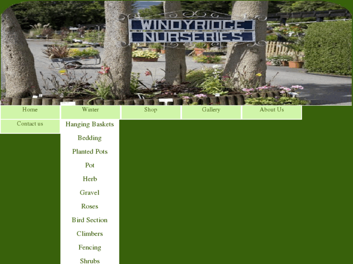 www.windyridgenurseries.com