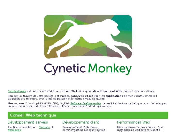 www.cyneticmonkey.com