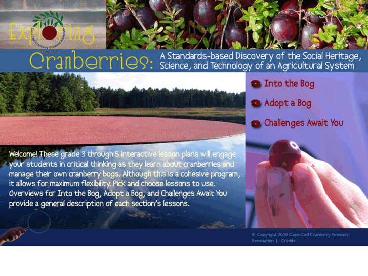 www.exploringcranberries.com
