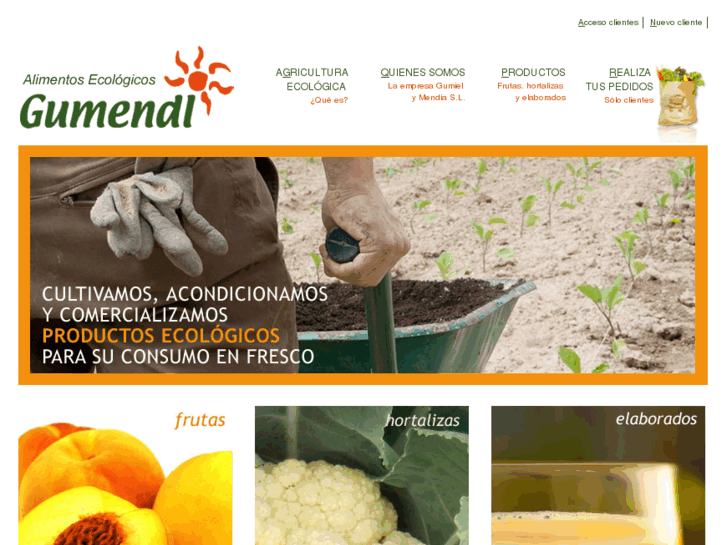 www.gumendi.es