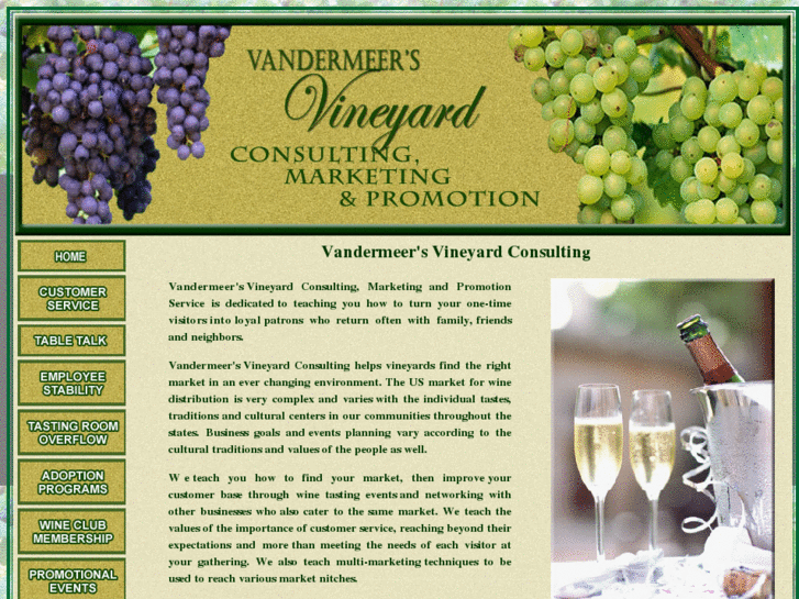 www.vineyardconsulting.net