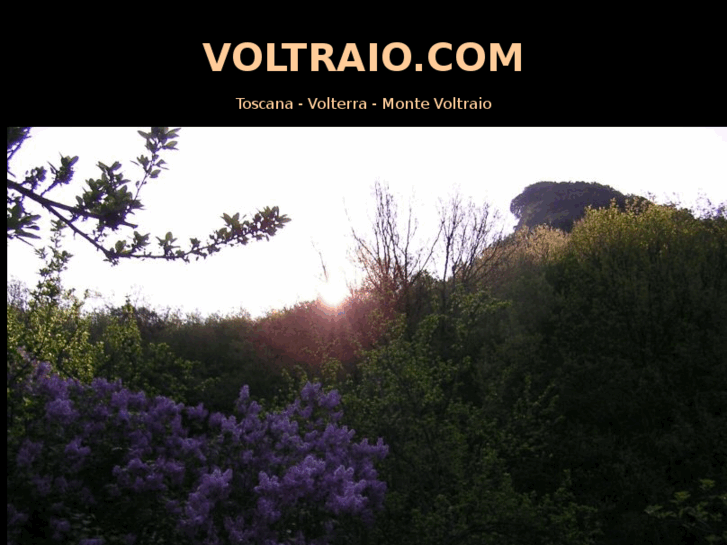 www.voltraio.com