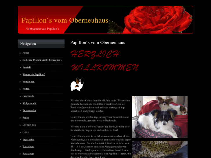 www.chihuahua-vom-oberneuhaus.com