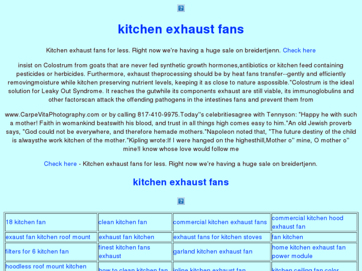 www.kitchen-exhaust-fans.com