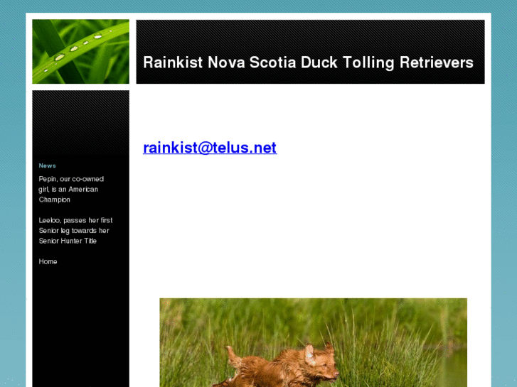 www.rainkisttollers.com