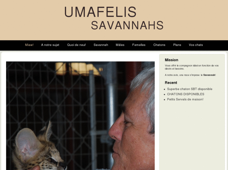 www.umafelis.com