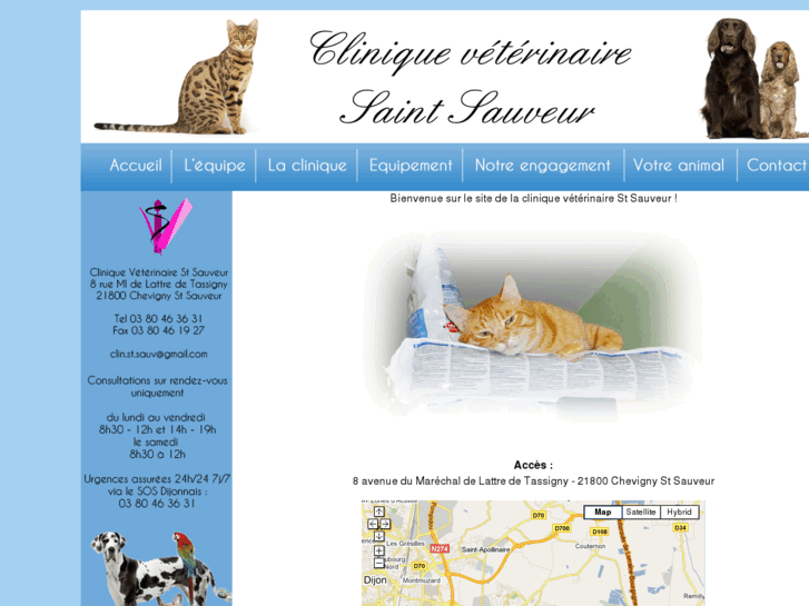 www.cliniquesaintsauveur.com