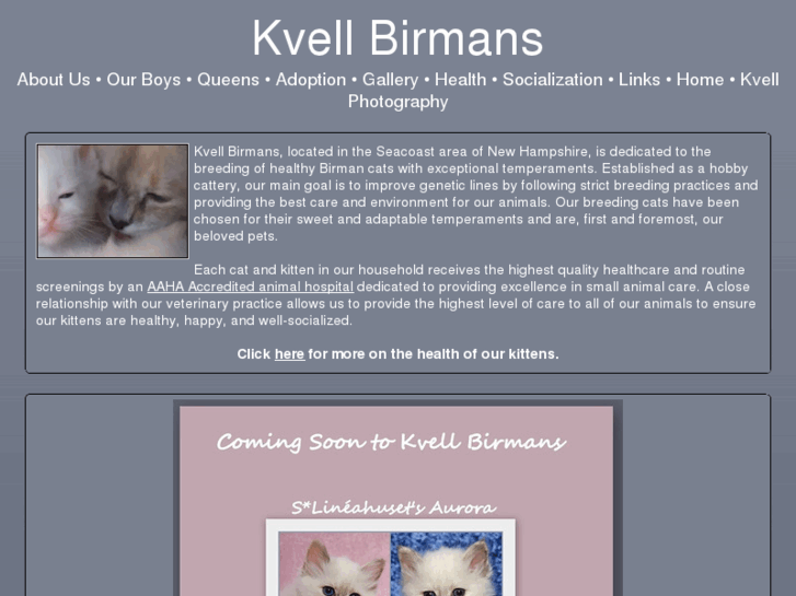 www.kvellbirmans.com