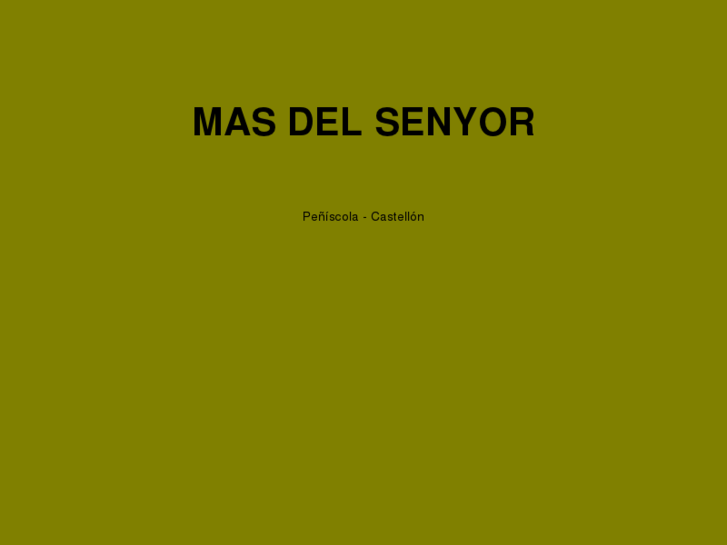 www.masdelsenyor.com