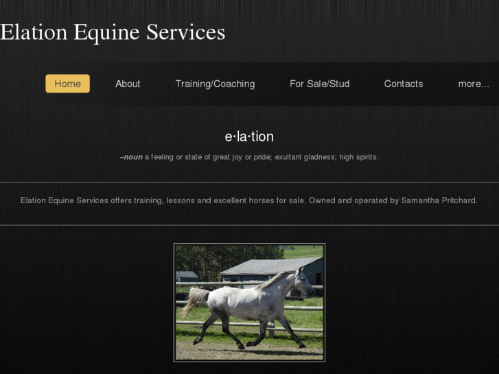 www.elationequineservices.com