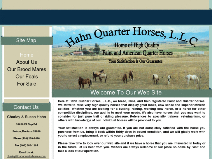 www.hahnquarterhorses.com