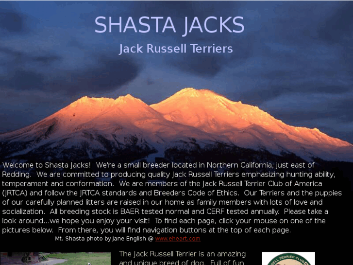 www.shastajacks.com