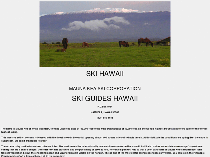 www.skihawaii.com