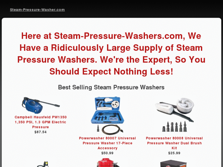 www.steam-pressure-washer.com