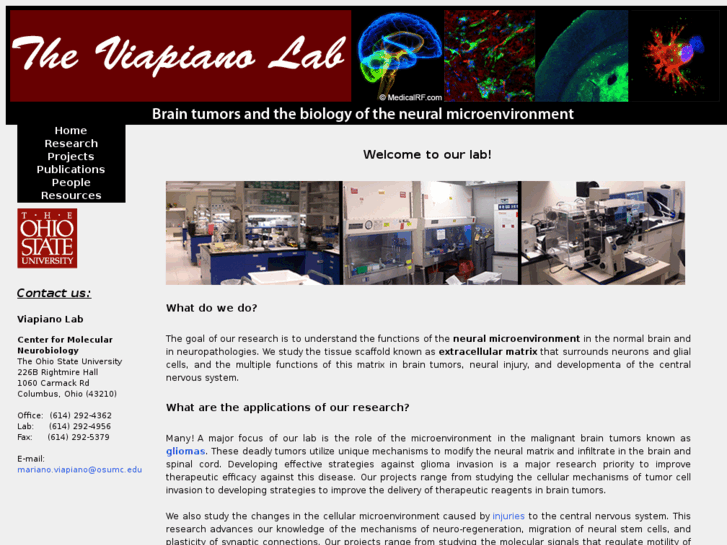 www.viapianolab.org