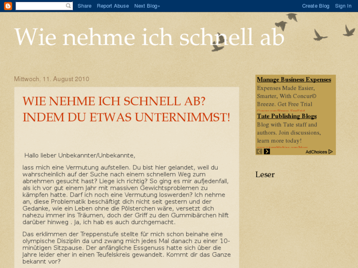 www.wie-nehme-ich-schnell-ab.info