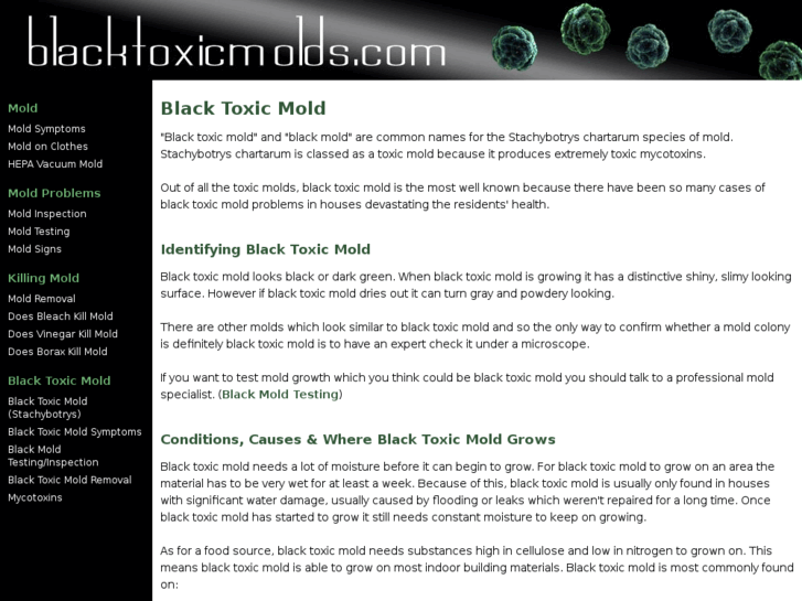 www.blacktoxicmolds.com