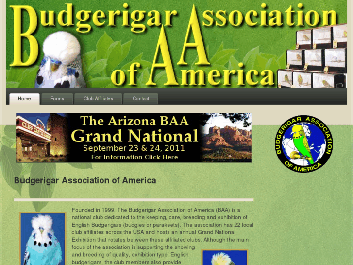 www.budgerigarassociation.com