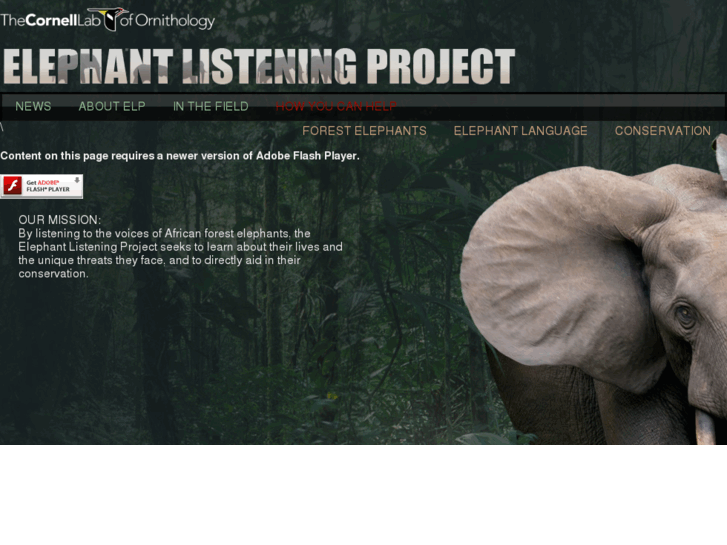 www.elephantlisteningproject.org