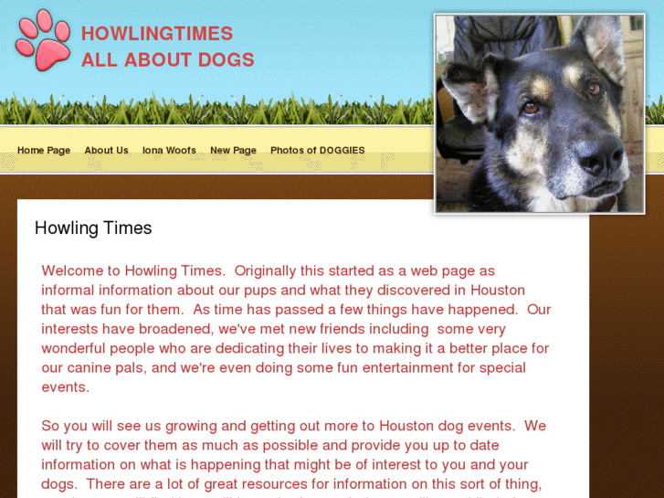 www.howlingtimes.com