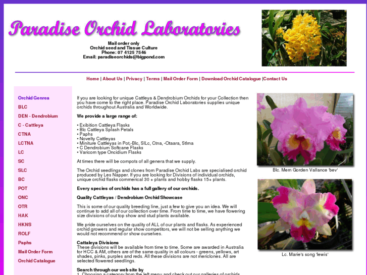 www.paradiseorchidlabs.com