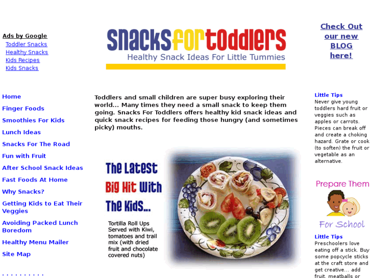 www.snacksfortoddlers.com