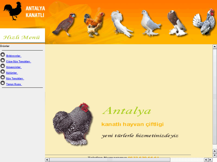 www.antalyakanatli.com