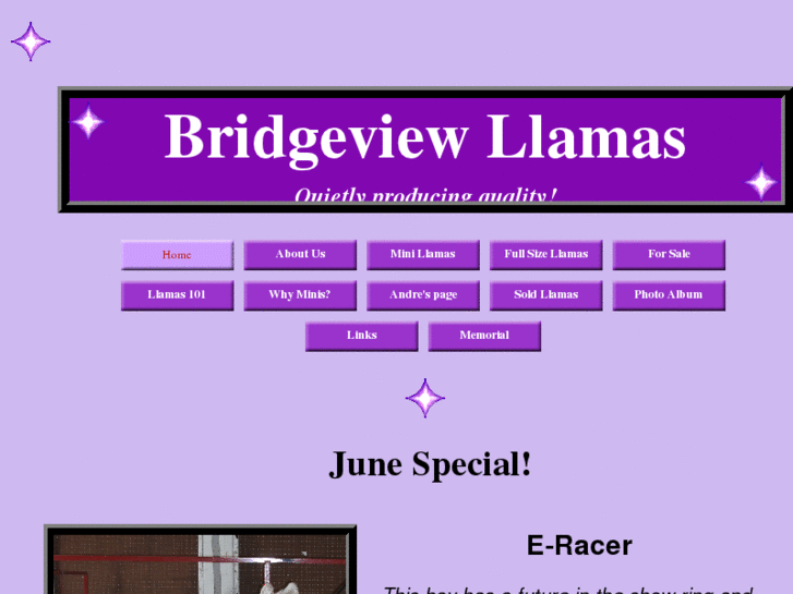 www.bridgeviewllamas.com