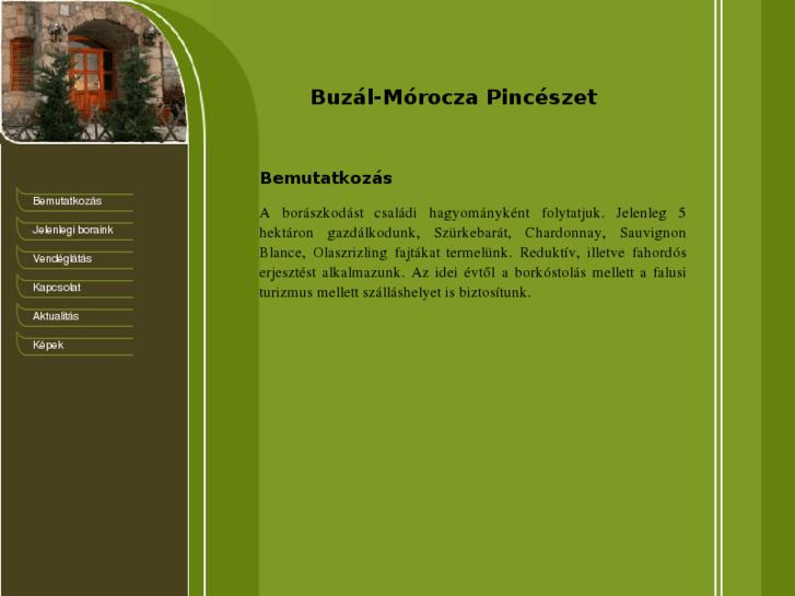 www.buzal-morocza-pinceszet.com