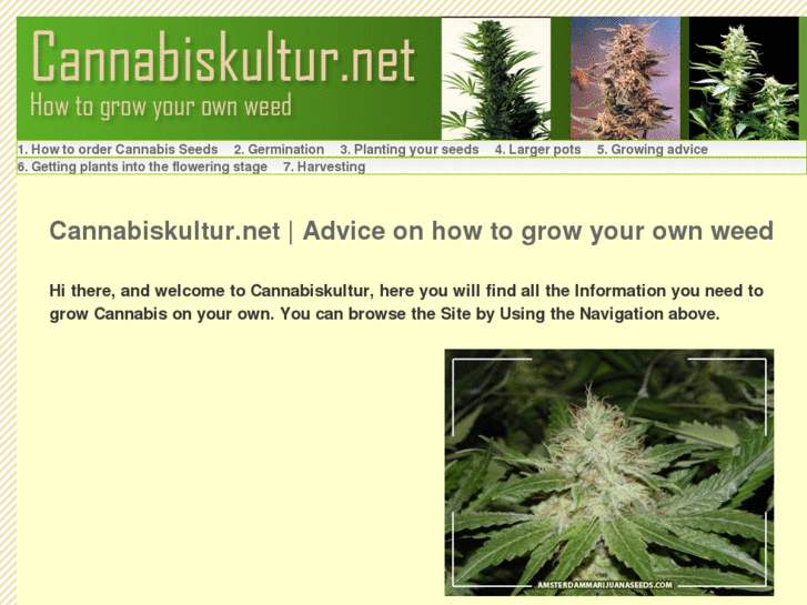 www.cannabiskultur.net